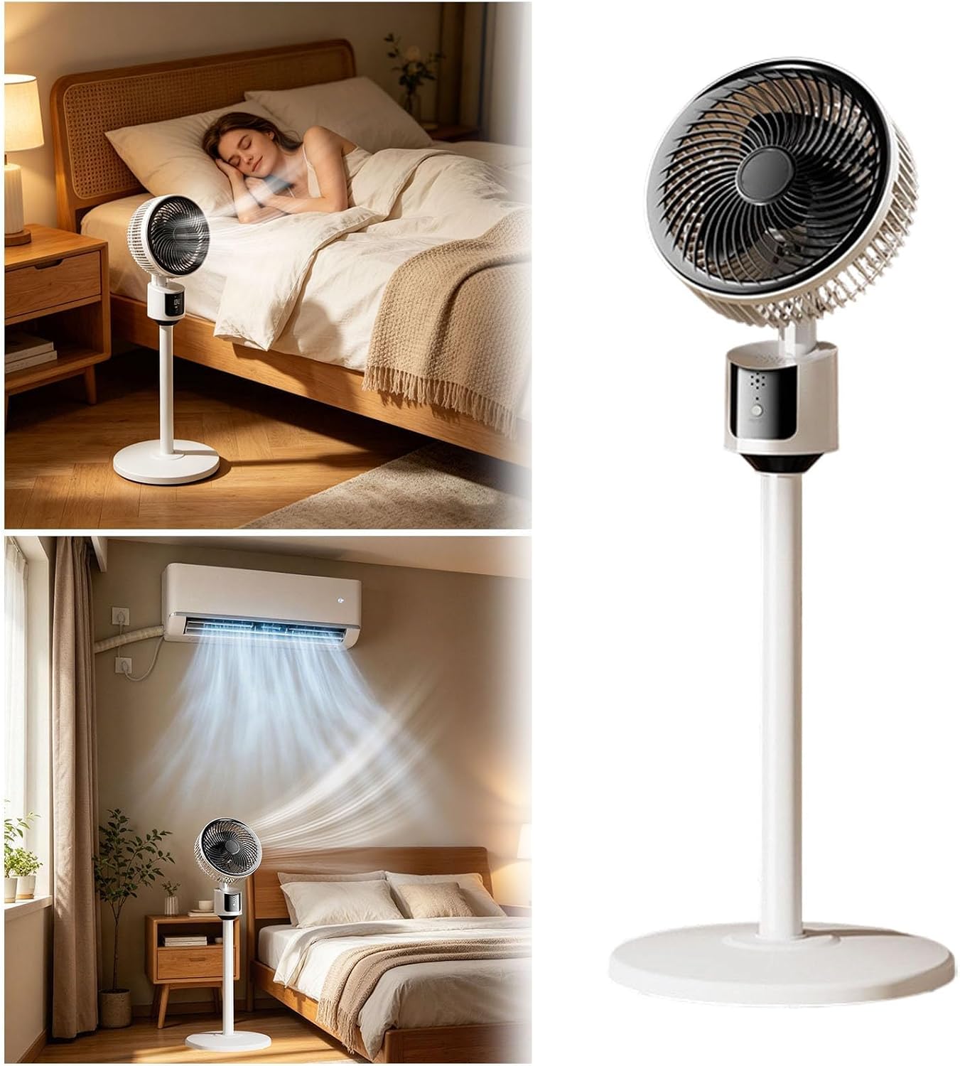 fan