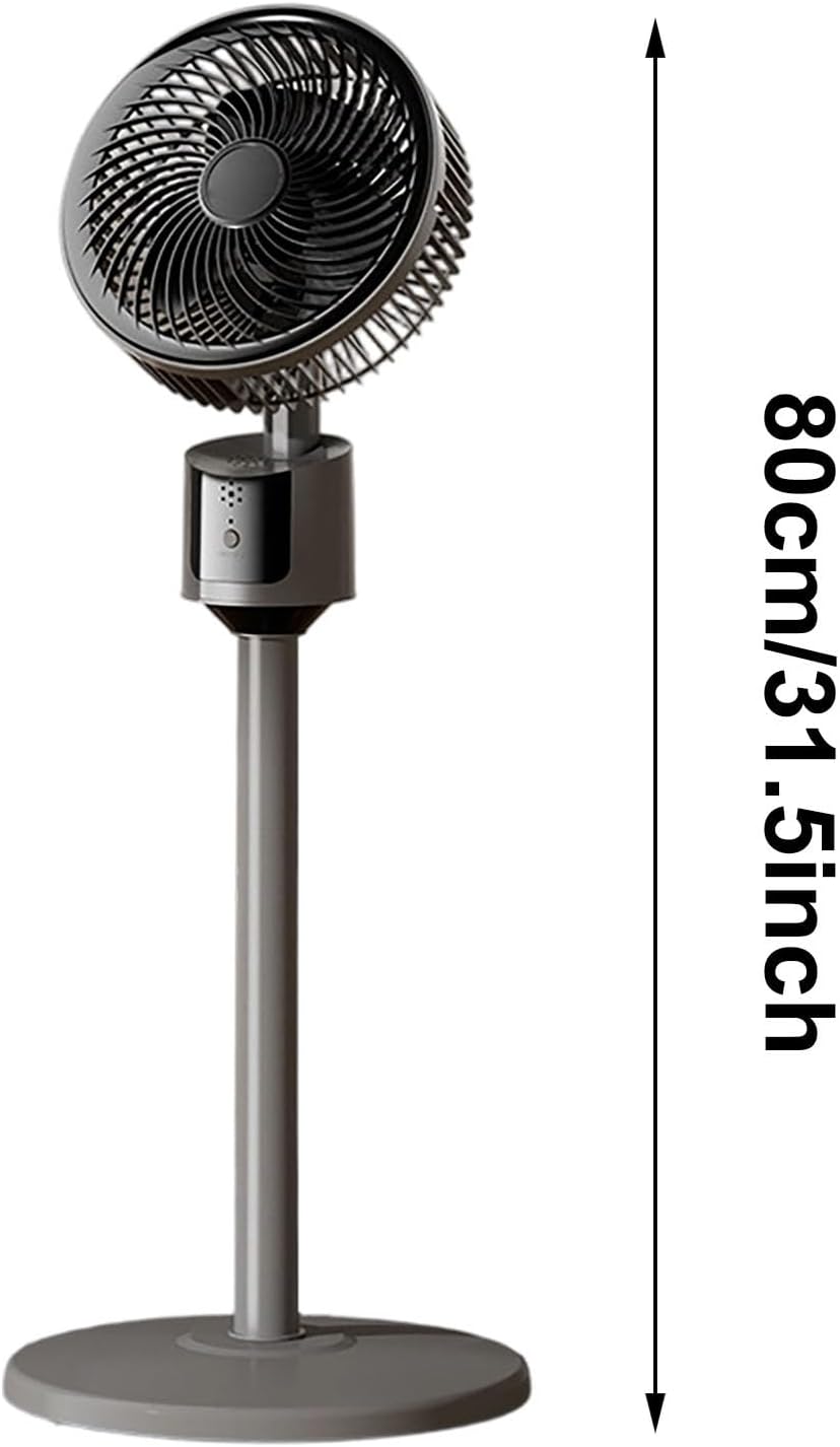 fan